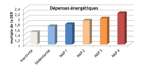 Alimentation_depenses_energetiques.png