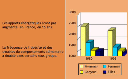 Alimentation_obesite.png