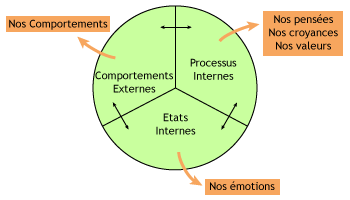 Anorexie_index_computation.png