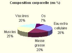 Compcorp.jpg