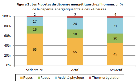 Obesite_depense_energetique_1.png