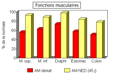 anorexie_fonctions_musculaires.png
