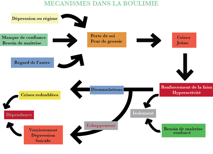 Anorexie mentale, boulimie, compulsions alimentaires et troubles ...