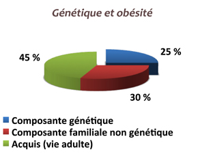 genetique_obesite.jpg