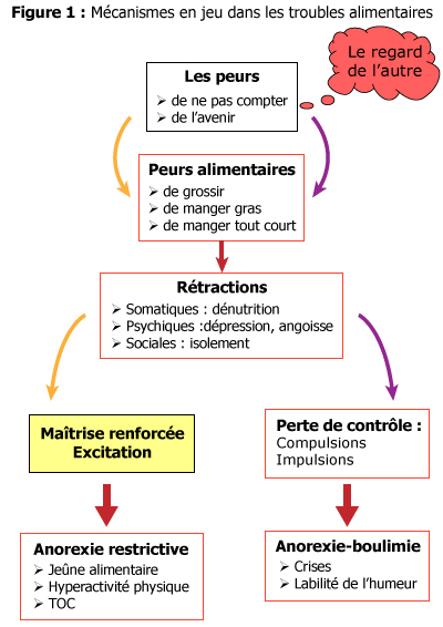 Anorexie mentale, boulimie, compulsions alimentaires et troubles ...