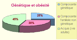 obesite_genetique1.jpg
